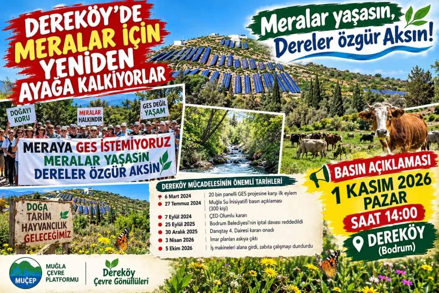DEREKÖY'DE PAZAR GÜNÜ EYLEM VAR..BODRUM’UN SON MERALARI İÇİN TEPKİLER BÜYÜYOR